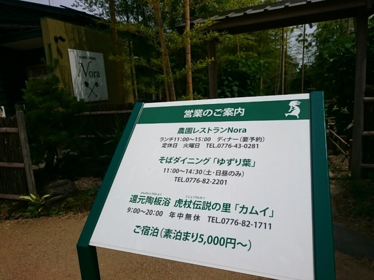 d0095673_20423069.jpg