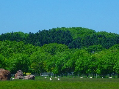 b0052375_16595537.jpg
