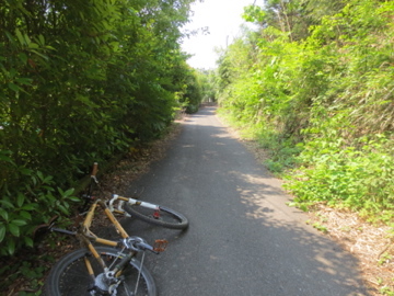 c0337875_22291597.jpg