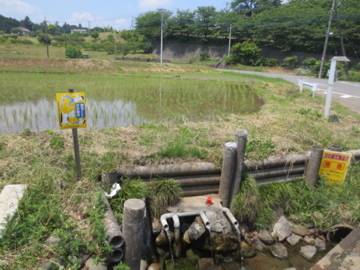 c0337875_22340095.jpg
