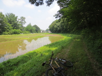 c0337875_22370647.jpg