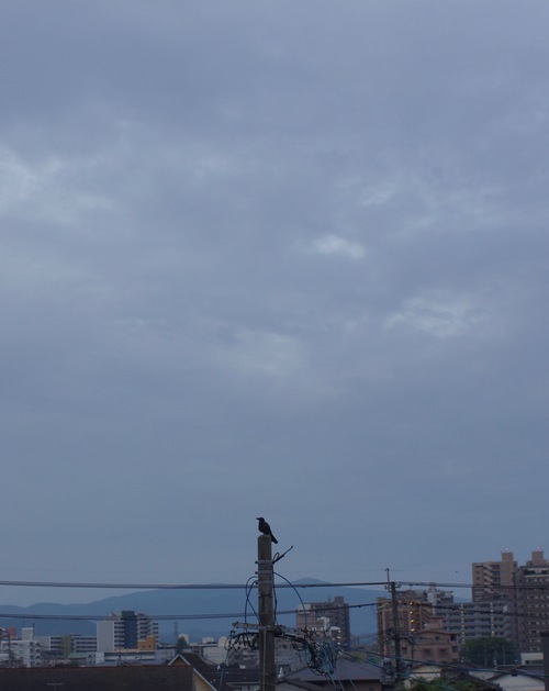 c0169176_839150.jpg