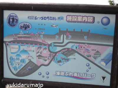 f0055380_18433238.jpg