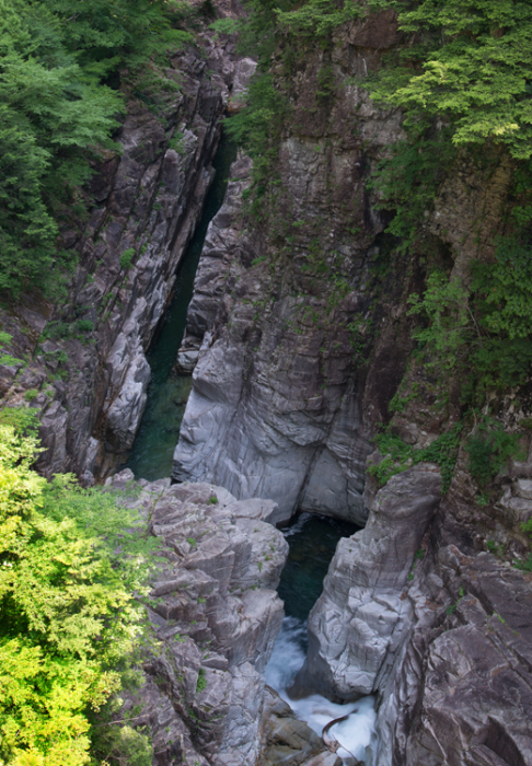 a0250584_23444435.jpg