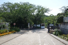 d0183387_16285845.jpg
