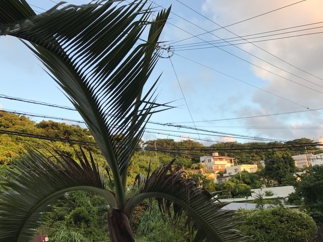 c0193396_19531678.jpg