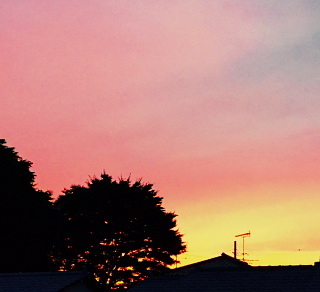 c0039501_10064299.jpg