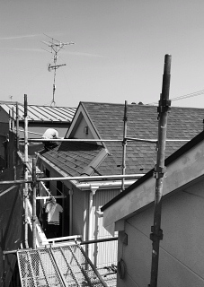 c0039501_10132223.jpg