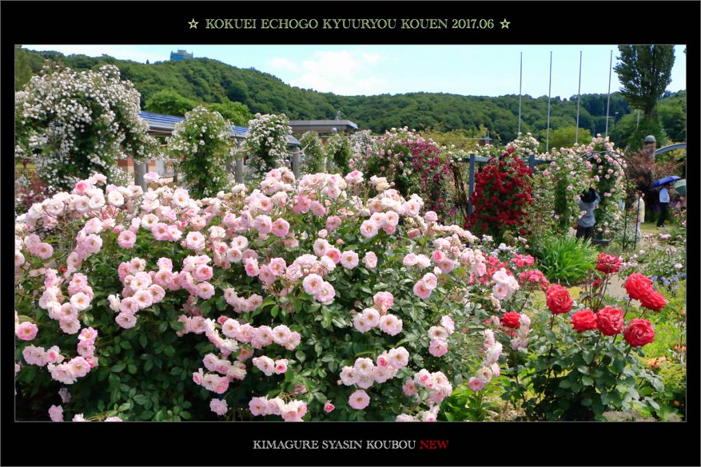 d0353401_22195879.jpg