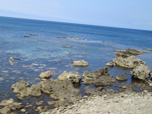 f0325309_21084641.jpg