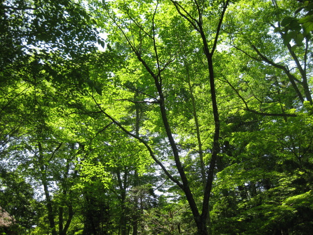 b0183111_09320286.jpg