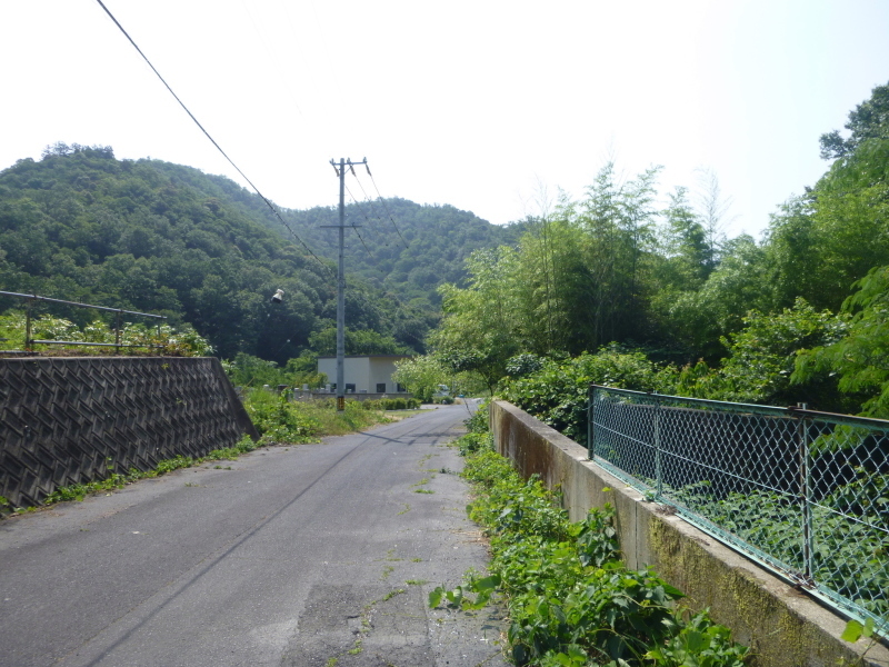 d0170615_17432448.jpg