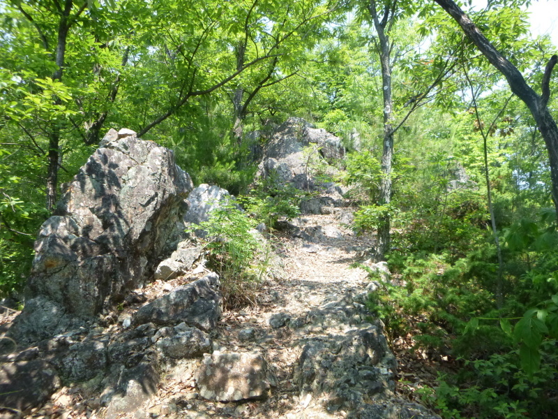 d0170615_17433511.jpg