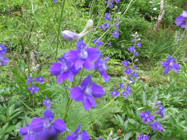 f0341616_16213259.jpg