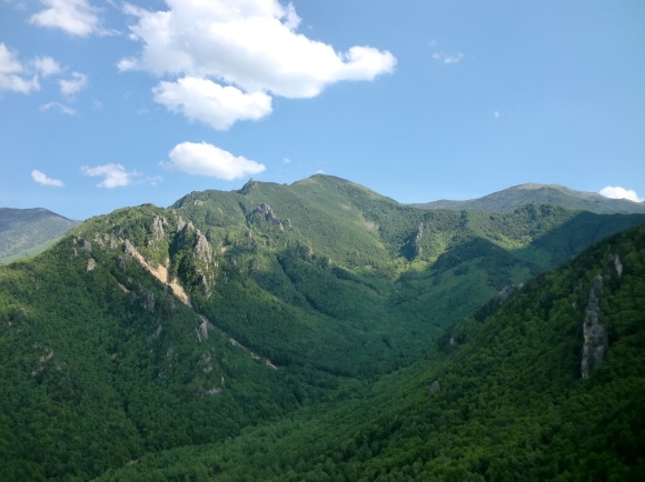 c0210618_19312384.jpg