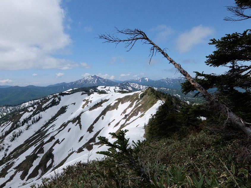 f0131721_04515925.jpg