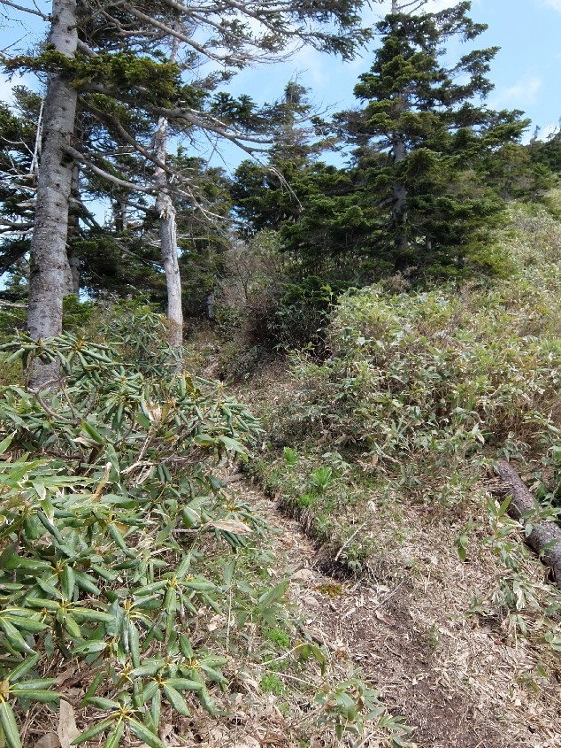 f0131721_04523076.jpg