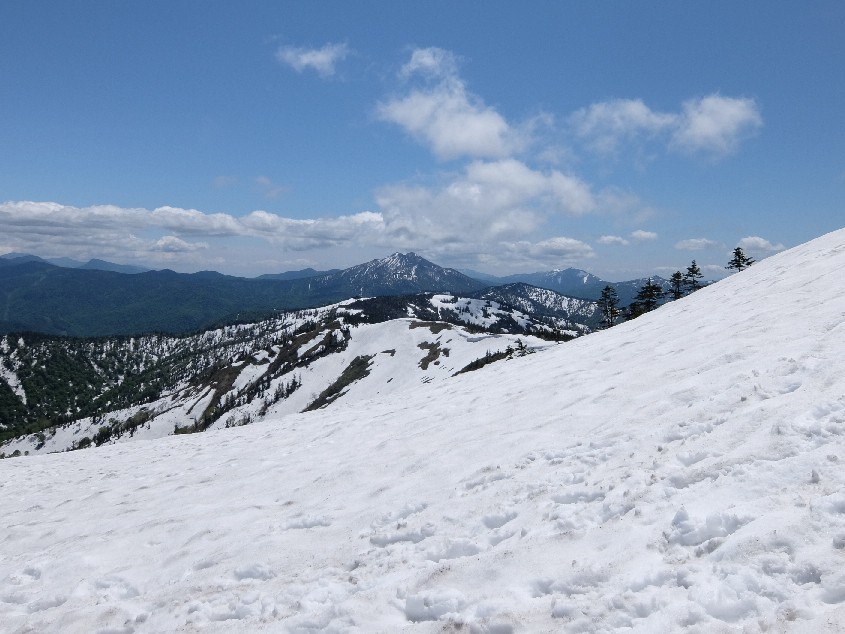 f0131721_04552595.jpg