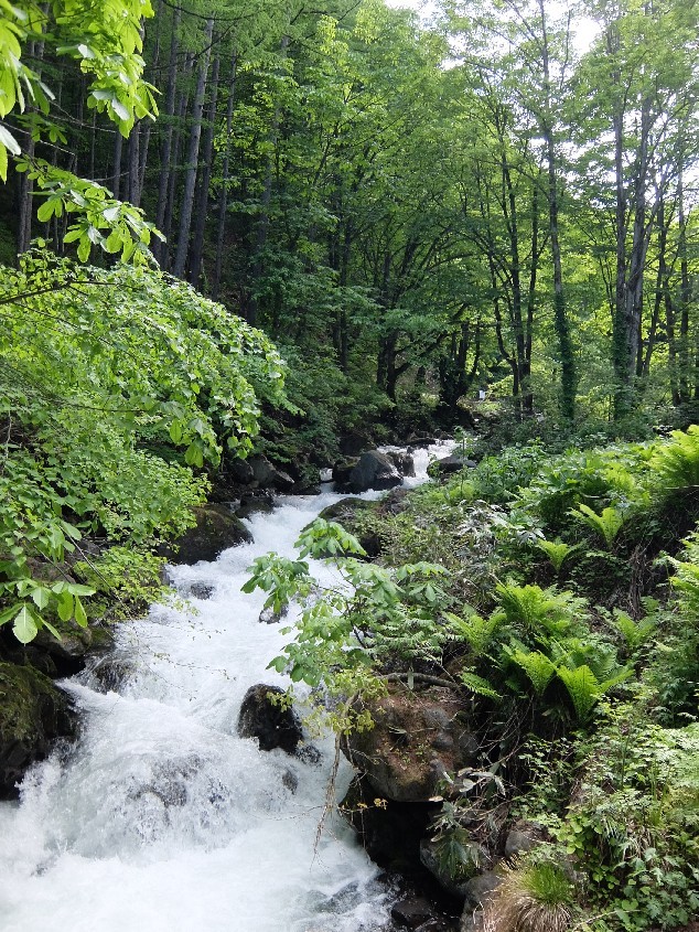 f0131721_04574571.jpg