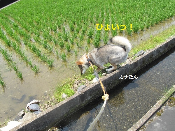 f0143123_12181839.jpg