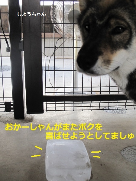 f0143123_12213075.jpg