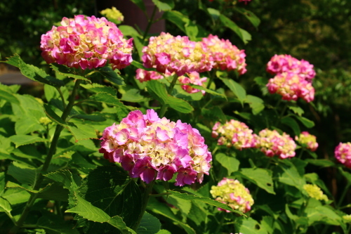 e0154524_22005099.jpg
