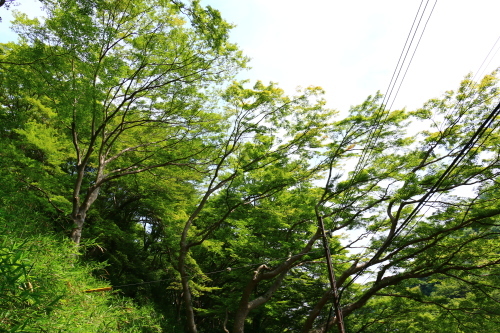 e0154524_22011511.jpg