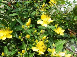 f0213825_12252679.jpg