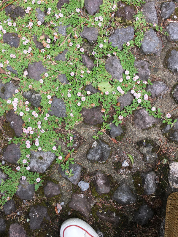 e0200830_08165084.jpg