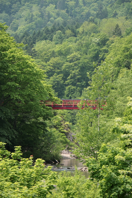 f0009433_16051373.jpg