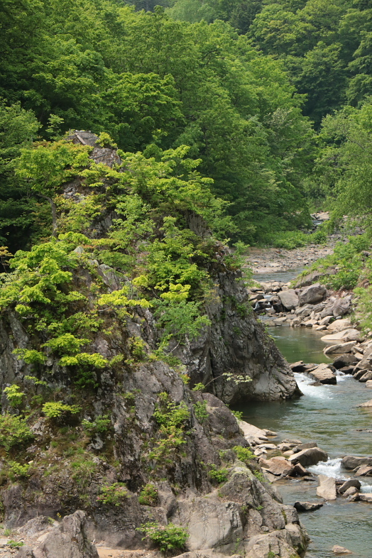 f0009433_16072332.jpg