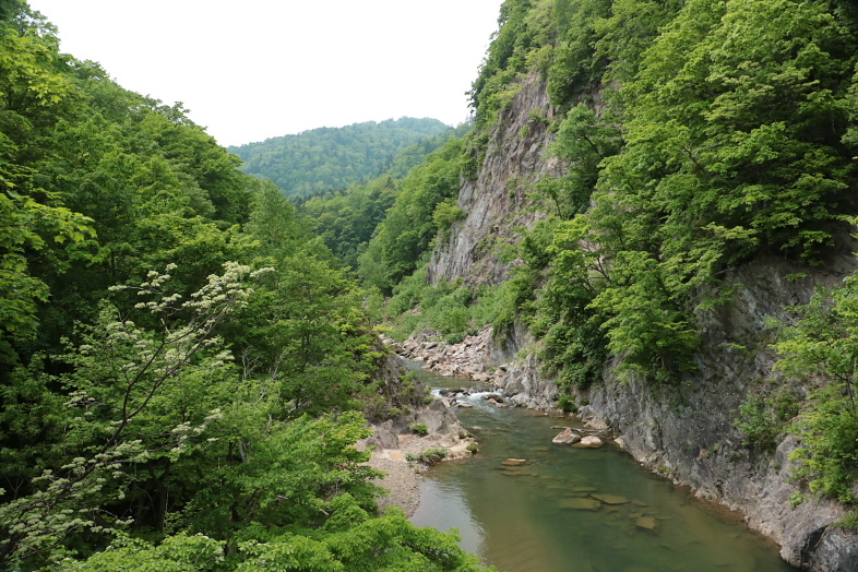 f0009433_16074355.jpg