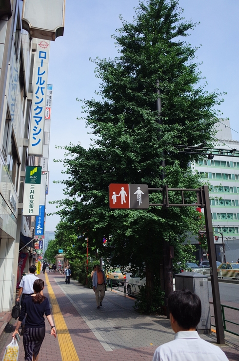 a0287336_01244.jpg