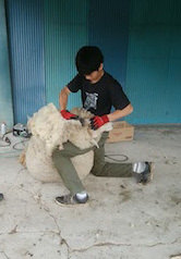 f0226836_10592011.jpg