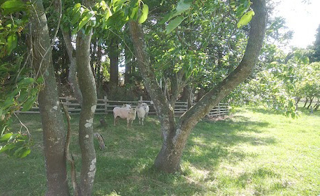 f0226836_10592123.jpg