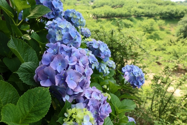 a0242438_21013203.jpg