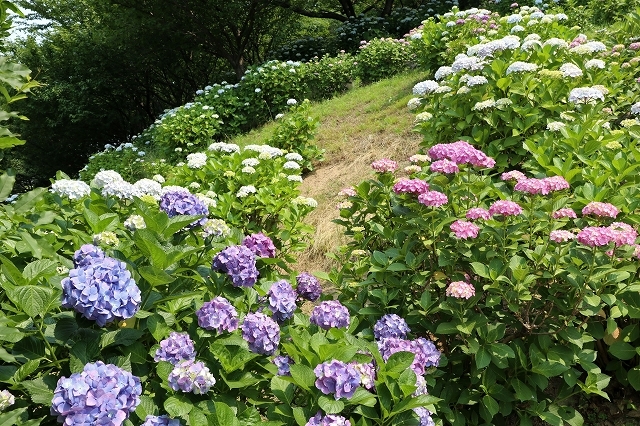 a0242438_21013228.jpg