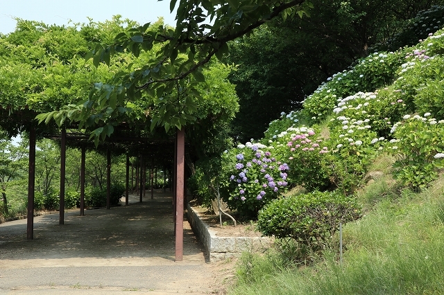 a0242438_21035281.jpg