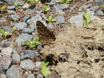 b0126549_1825466.jpg