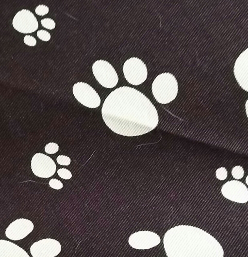 c0134850_11181624.jpg