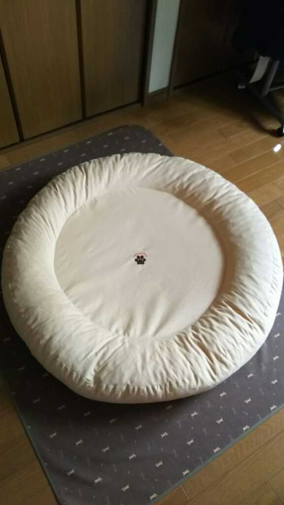 c0134850_11181726.jpg