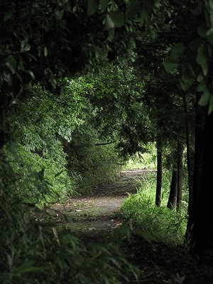 f0072357_05252903.jpg