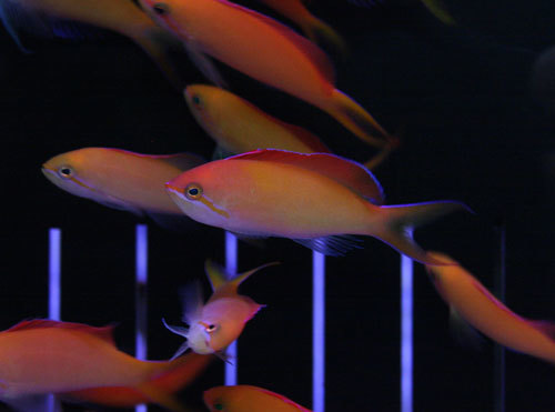 c0165758_21302796.jpg