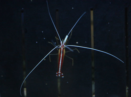 c0165758_21312116.jpg