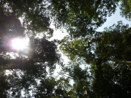 d0362666_21552046.jpg