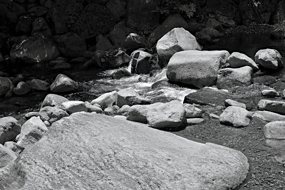 d0175768_13313529.jpg