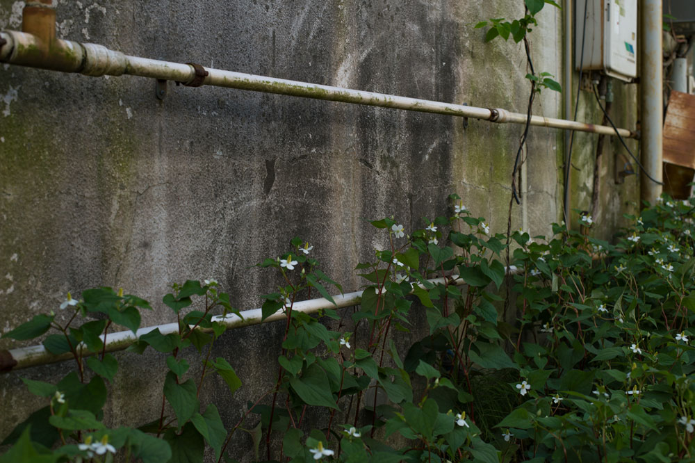 c0108673_2373232.jpg
