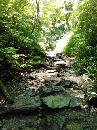 e0025873_18302197.jpg