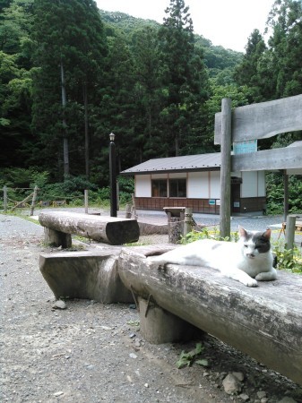e0025873_18352313.jpg