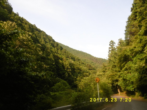b0127574_18523140.jpg